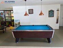Billard Freistehendes Ferienhaus im Ferienpark t�Posterbos - NL
